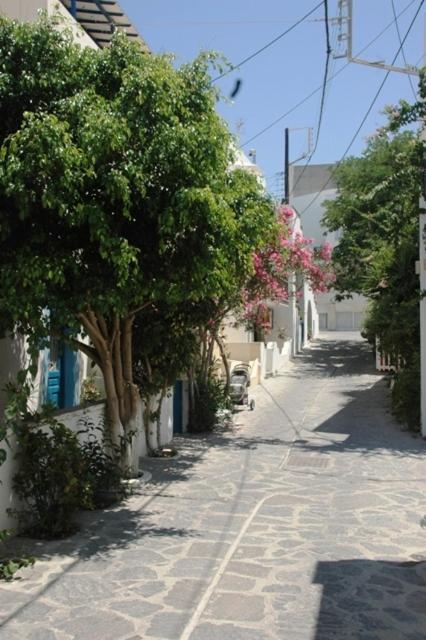 Hotel Anixis Resort Naxos City Buitenkant foto